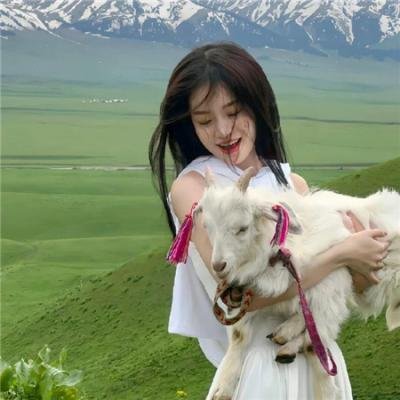 少年骇客：全面进化第四季